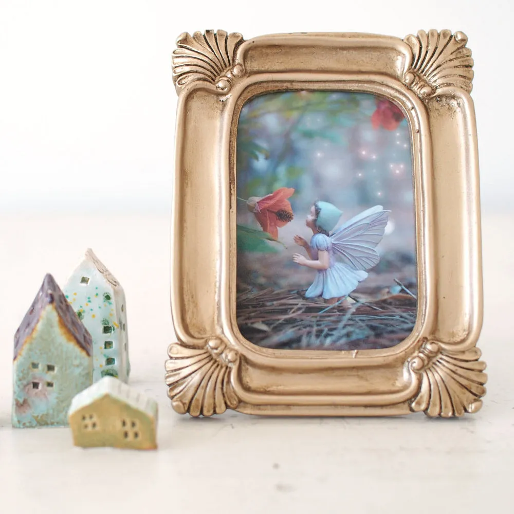 Flower Fairy Photograph Nursery Decoration