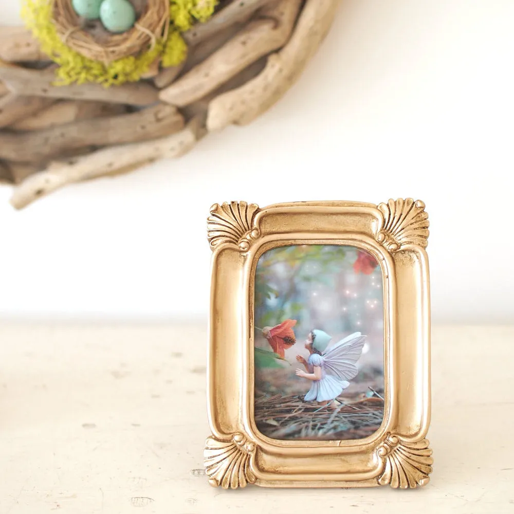 Flower Fairy Photograph Nursery Decoration