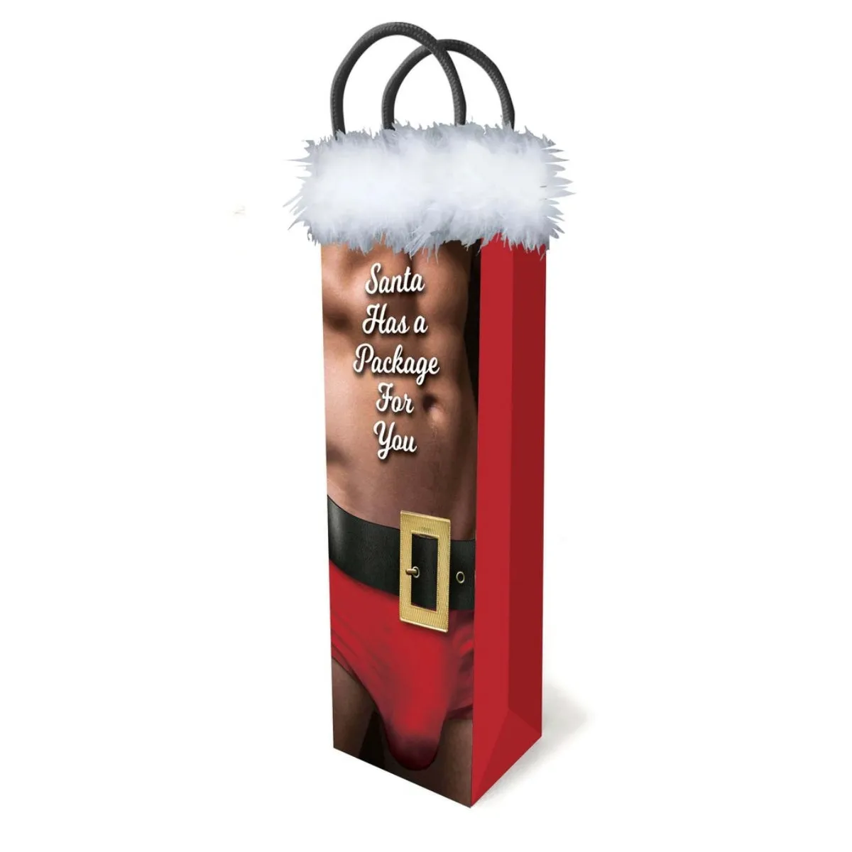 Little Genie Santa Has A Package For You Gift Bag